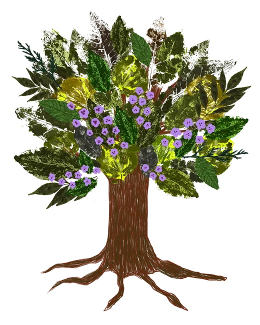 Árbol con jacarandas