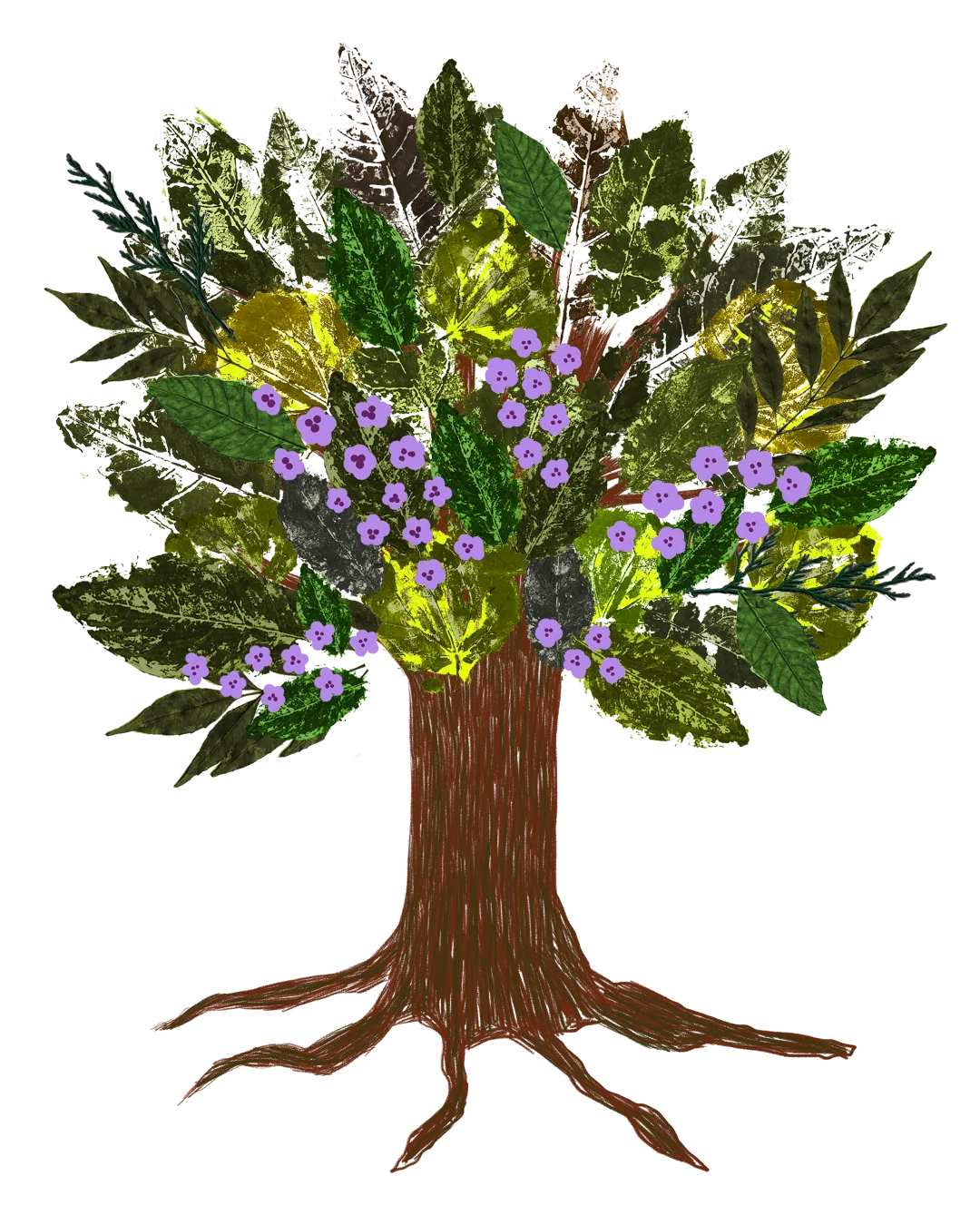 Árbol con jacarandas