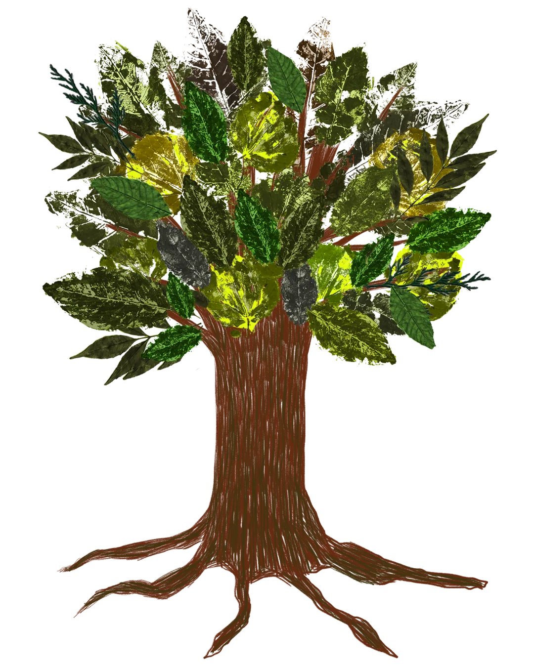 Árbol