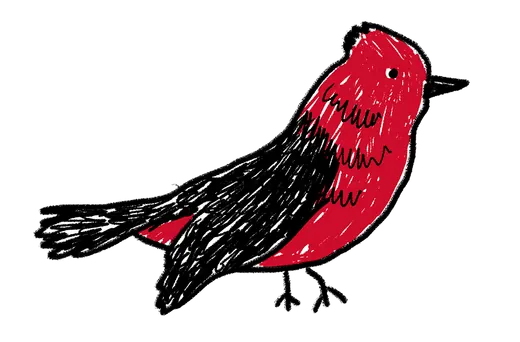 Ave roja