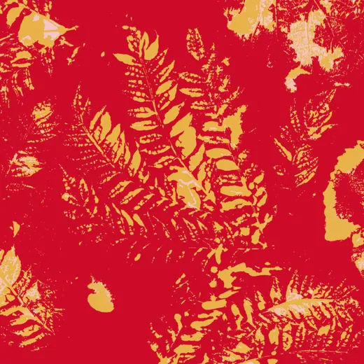 Fondo 5