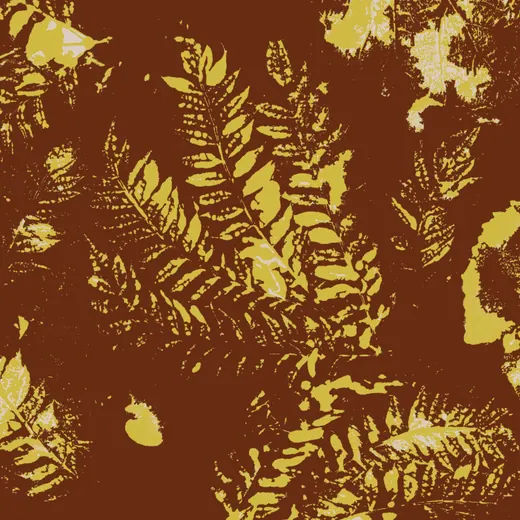 Fondo 6
