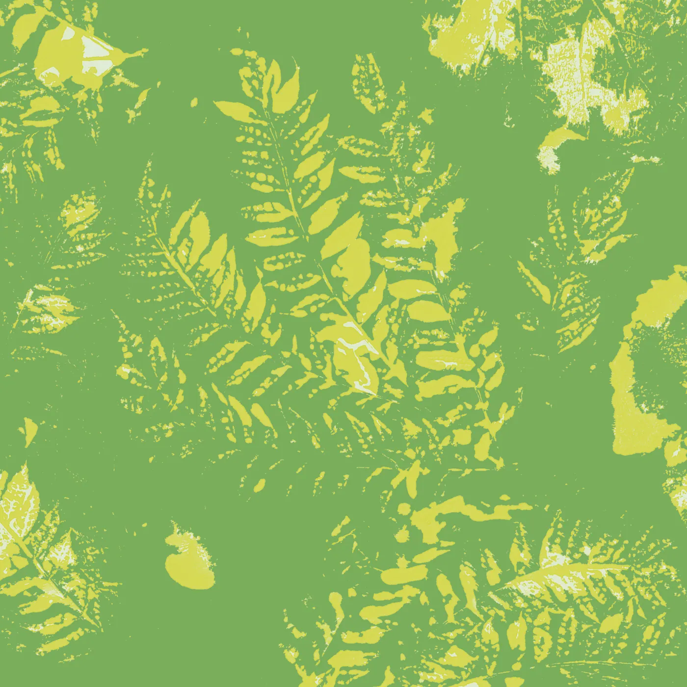 Fondo 7