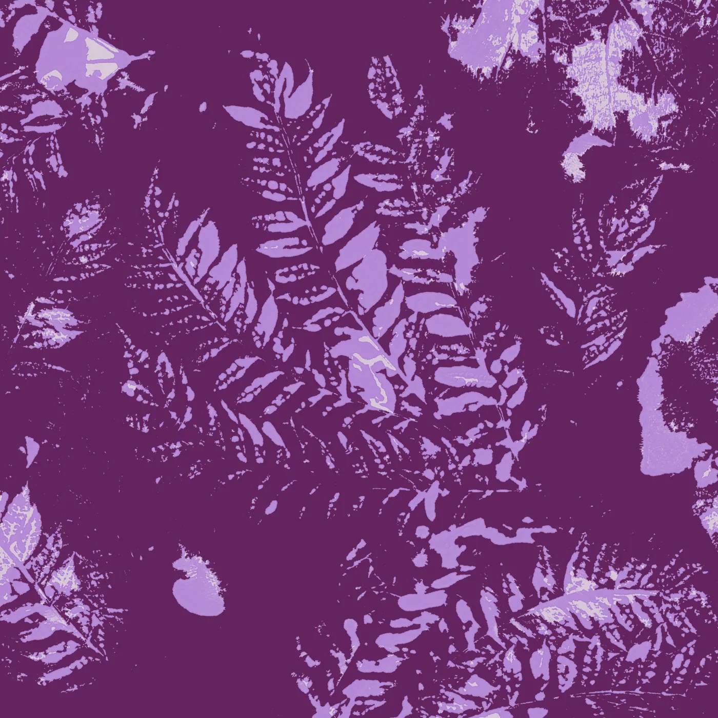 Fondo 8