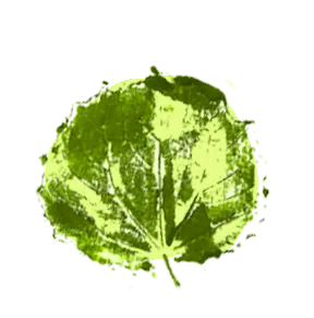 Hoja 1