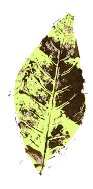 Hoja 3