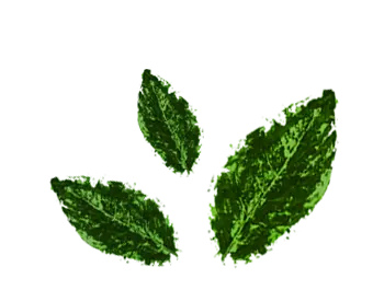 Hoja 5