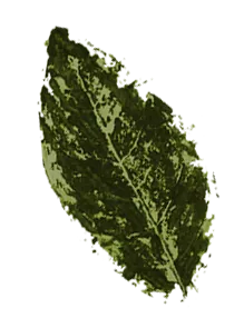 Hoja 6