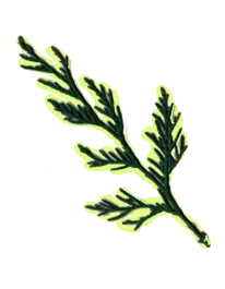 Hoja 7