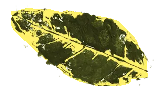 Hoja 9