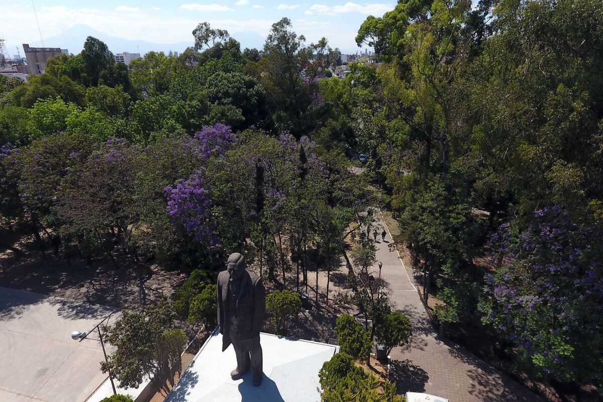 Parque Juárez en Puebla — vista con árboles maduros